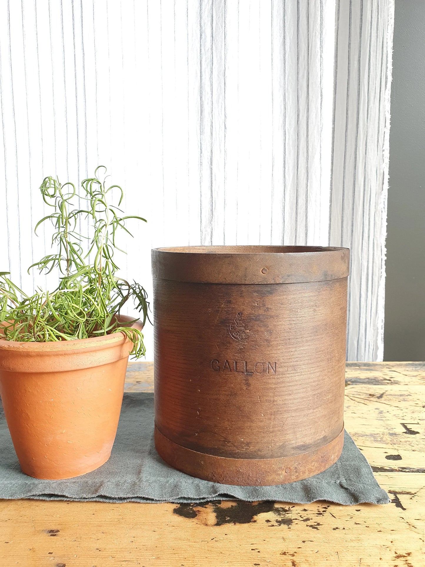 Bentwood Gallon Measure