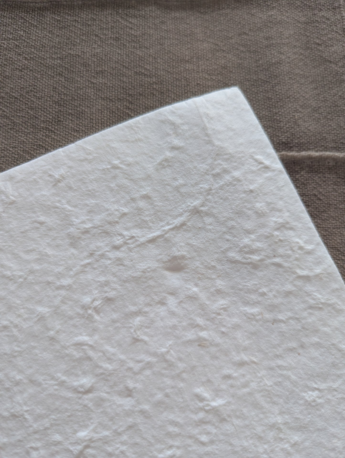 Natural Placemats | 10 Pack