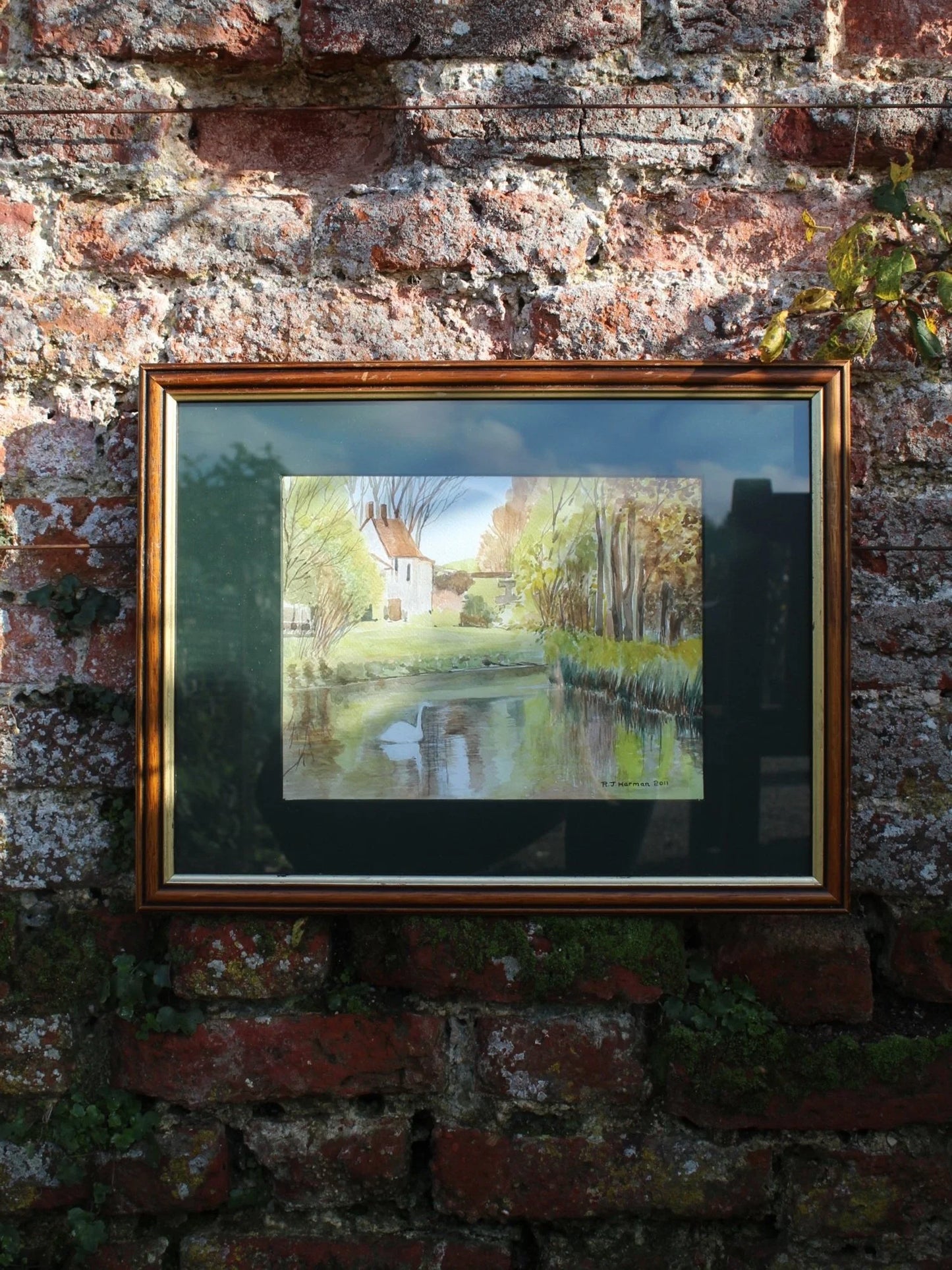 Swan Meadow Watercolour