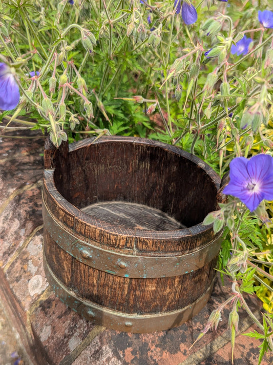 Oval Wooden Bucket with Brass Bands