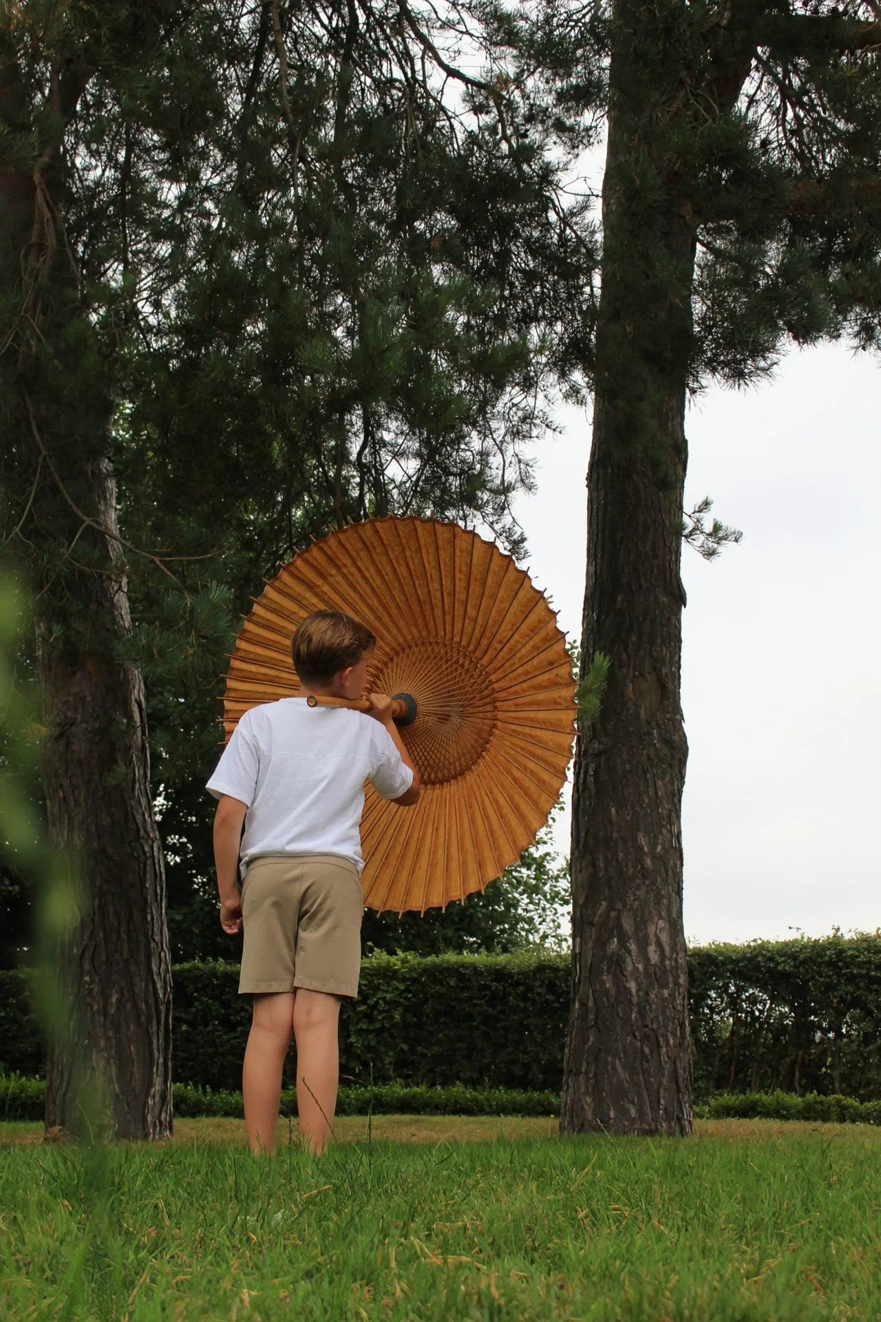 Antique Chinese Parasol
