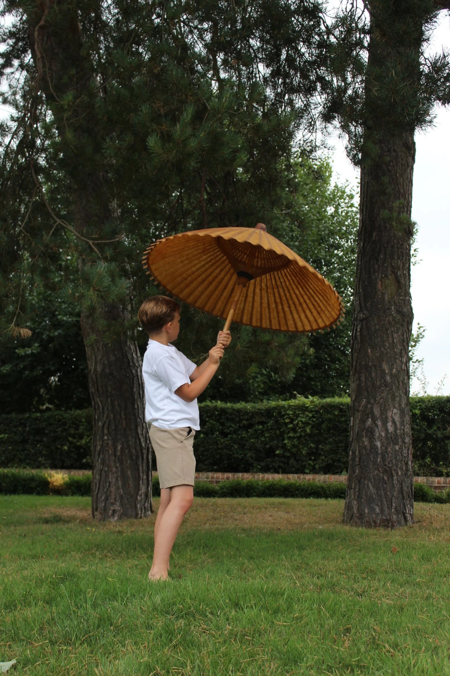 Antique Chinese Parasol