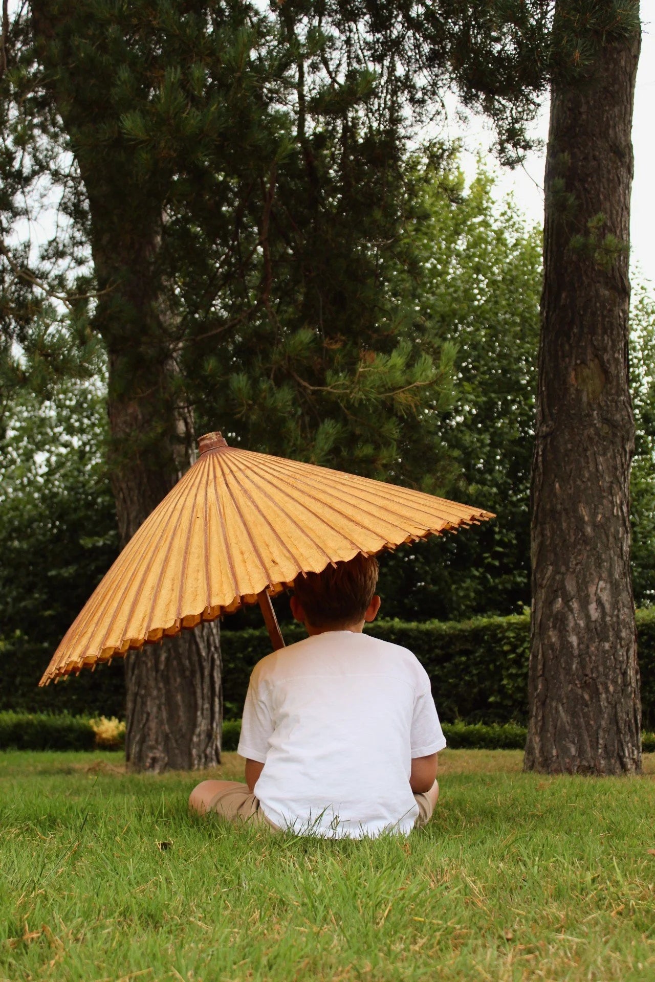 Antique Chinese Parasol