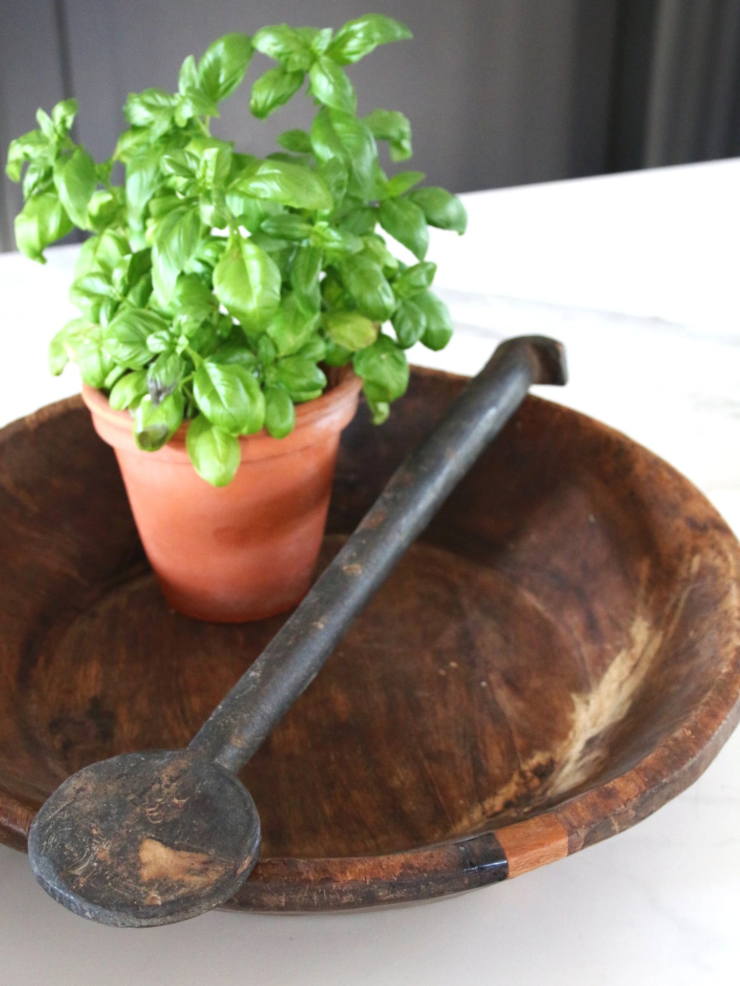Long Handled Flat Spoon