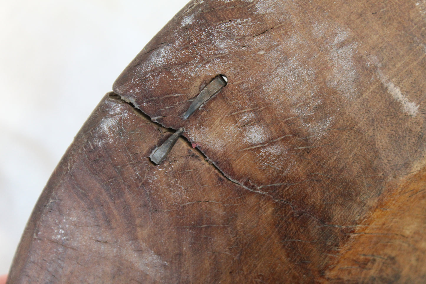 Staple in wood on a white background